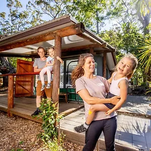Binna Burra Rainforest Campsite Campsite Beechmont